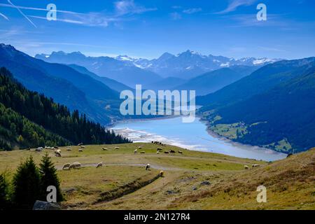 Aussichtspunkt des Reservoirs und der Ortler-Gruppe am Plamort-Plateau, Reschen, Vinschgau, Südtirol, Italien, Europa Stockfoto