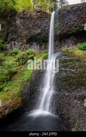 Wasserfall, Winter Falls, dichte Herbstvegetation, Silver Falls State Park, Oregon, USA, Nordamerika Stockfoto