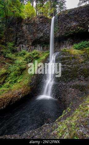 Wasserfall, Winter Falls, dichte Herbstvegetation, Silver Falls State Park, Oregon, USA, Nordamerika Stockfoto