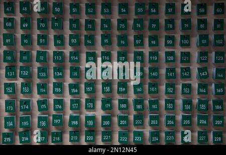 25. Januar 2023, Hessen, Frankfurt/Main: Nummerierte Baumschilder hängen an einer Wand im Grünflächenbüro. Die Grünlandbüros der Gemeinden führen regelmäßig Baumbesichtigungen in öffentlichen Grünflächen durch. Ein Bruch des grünen Astes, das plötzliche Abreißen einzelner, vollständig belaubter Äste, kann nicht einmal im Rahmen einer regelmäßigen Bauminspektion vorhergesehen werden. In Frankfurt ist das Grünflächenbüro für fast 190.000 Bäume entlang der Straßen, in Parks und auf Spielplätzen verantwortlich. Durch den Klimawandel sind die Anstrengungen für eine umweltfreundliche Pflege in den Städten erheblich gestiegen. (Zu dpa 'in Stockfoto