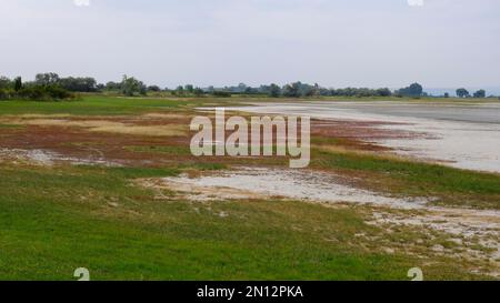 Getrocknete Salzpfütze im Spätsommer, Neusiedlsee-Nationalpark, Burgenland, Österreich, Europa Stockfoto