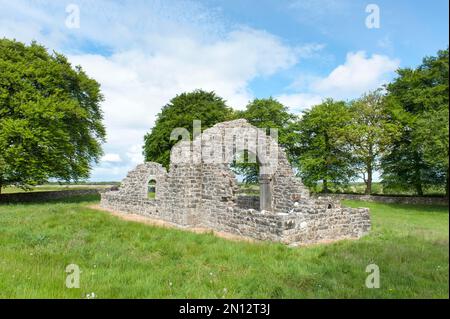 Iroquois Church, Nonnenkirche, Clonmacnoise Klosterruine, in der Nähe von Athlone, County Offlay, Irland, Europa Stockfoto