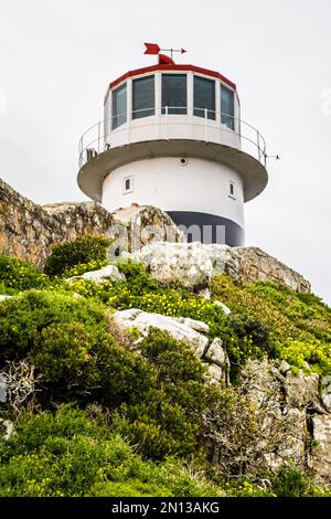 Cape Point, Kap-Halbinsel, Kapstadt, Westkap, Südafrika, Afrika Stockfoto
