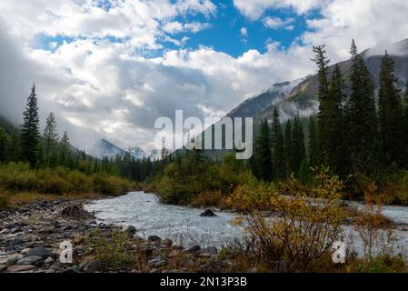 Nebel über dem Fichtenwald in den Bergen und der Fluss Shawla umhüllt die Felsen mit Gletschern und Schnee in Gewitterwolken. Stockfoto