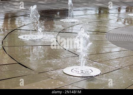 Der Brunnen von Bougainvillea. Öffentlicher Stadtpark Krasnodar oder Galitsky Park. Stockfoto