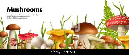 Pilze realistisches horizontales Poster mit Boletus- und Champignon-Vektordarstellung Stock Vektor