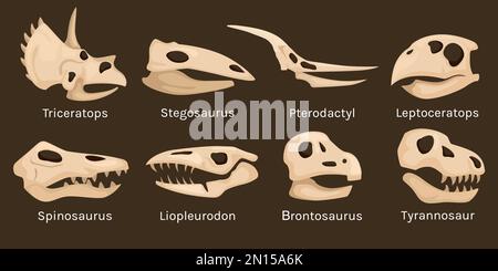 Dinosaurier-Skelett-Kopfset mit isolierten Schädelsymbolen und Knochenbefunden mit editierbarer Textbeschriftung als Vektordarstellung Stock Vektor