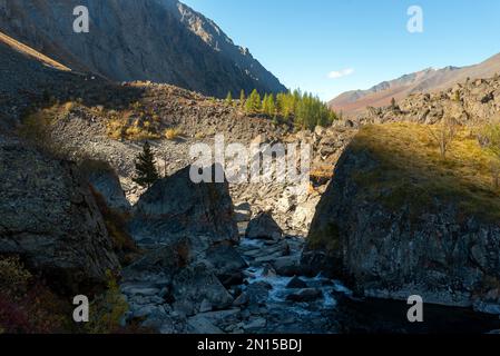 Der Shavla Fluss fließt im Schatten zwischen großen Steinen vor dem Hintergrund von Wäldern und Bergen mit Felsen im Licht der Sonne in Altai. Stockfoto