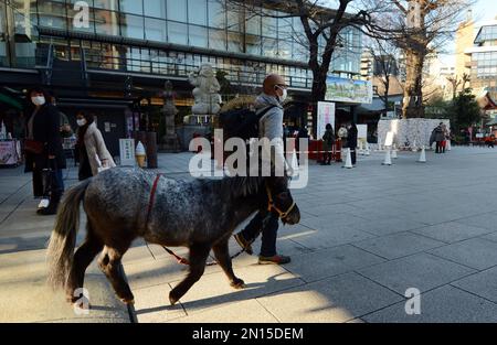 Kanda-Myoujin-Schrein in Akihabara, Tokio, Japan. Stockfoto