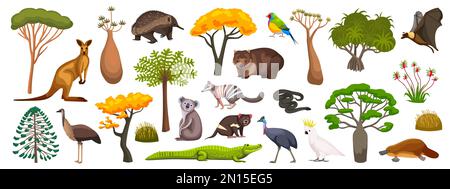 Australische Fauna und Flora mit Tieren, Vögeln und Pflanzen isoliert auf weißem Hintergrund, Vektordarstellung Stock Vektor