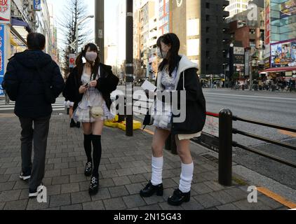 Mädchen, gekleidet in Französisch Dienstmädchen Kostüme Rabatt-Coupons für Maid Cafés in Tokio Akihabara Vergnügungsviertel austeilen. Stockfoto