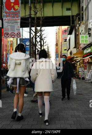 Mädchen, gekleidet in Französisch Dienstmädchen Kostüme Rabatt-Coupons für Maid Cafés in Tokio Akihabara Vergnügungsviertel austeilen. Stockfoto