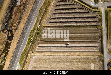 Draufsicht des Traktors beim Pflügen von brachem Feld in der ländlichen Landwirtschaft Stockfoto