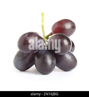 Ein Haufen lila Trauben, isoliert auf weiß Stockfoto