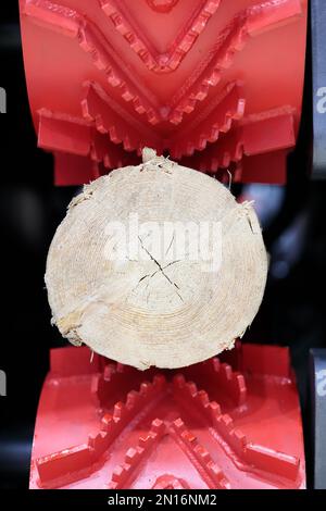 Holzstamm in den Einzugswalzen der Entrindungsmaschine. Selektiver Fokus. Stockfoto