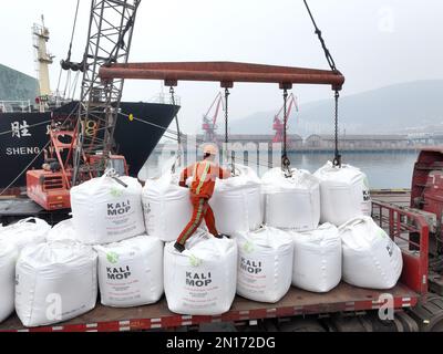 LIANYUNGANG, CHINA - 6. FEBRUAR 2023 - Luftbild aufgenommen am 6. Februar 2023 zeigt Arbeiter, die Dünger für den Frühjahrsanbau am Liegeplatz von P entladen Stockfoto