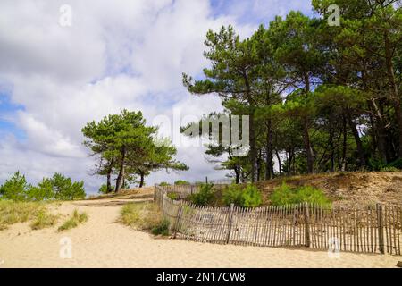 westfranzösische atlantikküste in Talmont Beach mit Blick auf das Meer und den Horizont von Frankreich Stockfoto