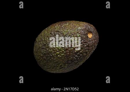 Bild einer reifen Avocado auf schwarzem Hintergrund Stockfoto