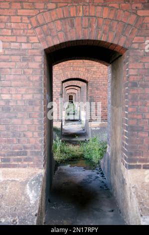 Ein vertikales Bild von der Fassade eines alten Gebäudes im Fort Clinch State Park, Florida, USA Stockfoto