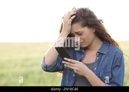 Traurige Frau, die auf einem Weizenfeld auf dem Smartphone steht Stockfoto