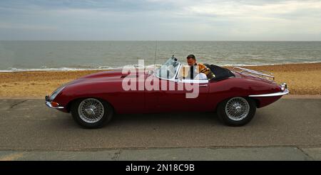 Klassisches Jaguar E-Type Cabriolet in Rot, parkt auf der Promenade am Meer und Beagle-Hund mit Sonnenbrille. Stockfoto