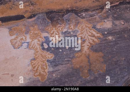Farbenfroher Sandstein, Petra, Jordan Stockfoto