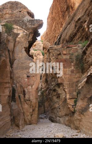 Petra, Jordanien Stockfoto