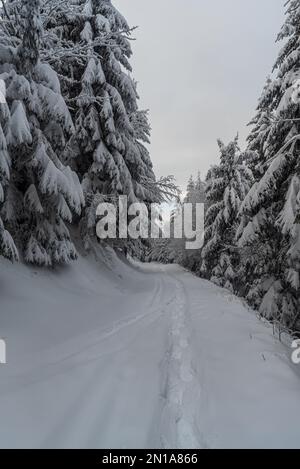 Schneebedeckter, markierter Pfad mit Schneeschuhen Stufen vor starkem Schneefall im gefrorenen Winterwald am Gipfel des Lysa Hora in der tschechischen republik Stockfoto