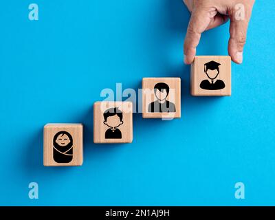 Hochschulabschluss, Bildung und Bildungsentwicklung einer Person. Hand ordnet Holzwürfel mit der Evolution einer Person von der Geburt bis zur Geburt an Stockfoto