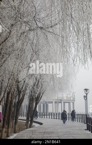 Jilin, Jilin, China. 6. Februar 2023. Am 6. Februar 2023, dem dritten Tag nach Frühling, wurde Jilin City, Provinz Jilin, Zeuge eines seltenen Naturschauspiels mit starkem Nebel, Schneeflocken, Reif und Sonnenaufgang. Gegen 9 Uhr morgens erschien plötzlich ein dichter Nebel mit einer Sicht von weniger als 50 Metern in der Stadt entlang des Songhua Flusses. Menschen, Autos und Gebäude waren vom Nebel umhüllt, der von Zeit zu Zeit verschwand und erst um mehr als 11 Uhr verschwand. Morgens schweben noch Schneeflocken am Himmel. Der Gürtel war mit Silber bedeckt, A Stockfoto