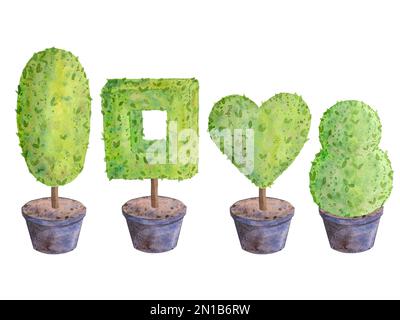 Aquarell-Set mit grünen Büschen verschiedener Formen in Töpfen für Landschaftsdesign. Isoliert auf weißem Hintergrund. Geeignet für das Design von Postkarten Stockfoto