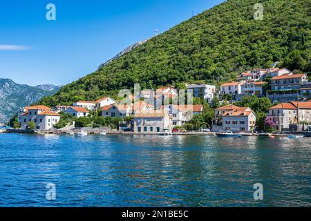 Küstenstadt Lepetane an der Bucht von Kotor in Montenegro Stockfoto