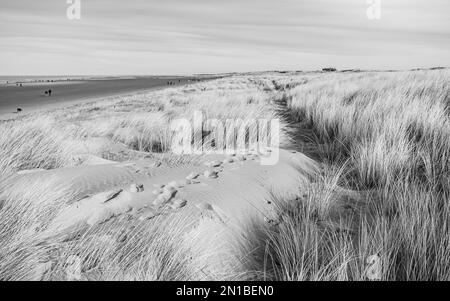 Fußspuren und langes Gras auf den Sanddünen entlang des Strandes von Ainsdale in Merseyside. Stockfoto