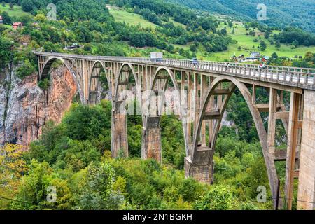 Durdevića-Tara-Brücke, eine Betonbrücke über den Tara-Fluss im Norden Montenegros Stockfoto