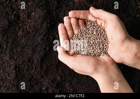 Frau hält einen Haufen Rettichsamen über dem Boden, Draufsicht mit Platz für Text. Gemüsepflanzen Stockfoto