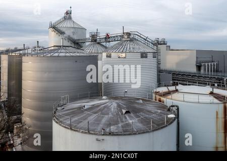 Luftaufnahme über Reihen von Chemikalienlagertanks und Öl- und Brennstoffsilos an einem Industriestandort Stockfoto