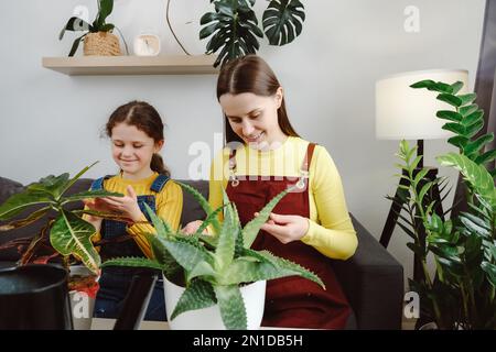 Attraktive Mutter und süße Tochter putzen Zimmerpflanzen, kümmern sich um grüne Blätter. Konzept für Garten-, Hausfrauen- und Hausarbeit. Hobbys zu Hause, wachsen Stockfoto