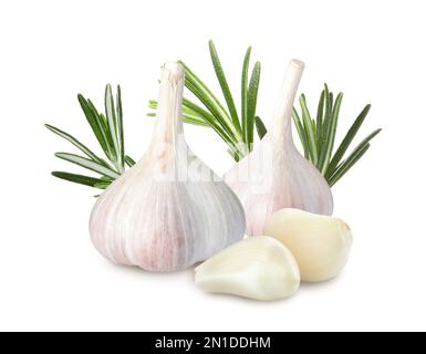 Frischer Knoblauch mit Rosmarin auf weißem Hintergrund Stockfoto