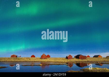 Aurora Borealis (Nordlichter) am Sternenhimmel über Fischerhütten, Eggum, Vestvagoy, Nordland, Lofoten-Inseln, Norwegen, Skandinavien Stockfoto