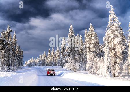 Auto fährt auf glatter Straße, umgeben von schneebedeckten Bäumen in einem gefrorenen Wald, Kangos, Norrbotten County, Lappland, Schweden, Skandinavien, Europa Stockfoto