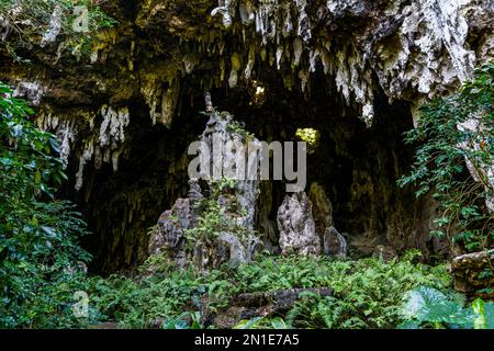 A'eo Höhle, Rurutu, Australinseln, Französisch-Polynesien, Südpazifik, Pazifik Stockfoto