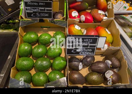 Italien – 5. Februar 2023: Verschiedene Arten und Farben von Avocado hass in Kartons auf Regalen zum Verkauf mit Preisen in Euro in einem italienischen Supermarkt Stockfoto