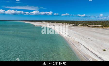 Shell Beach, Shark Bay, UNESCO-Weltkulturerbe, Westaustralien, Australien, Pazifik Stockfoto