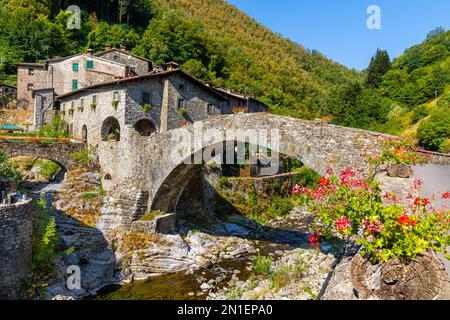 Fabbriche di Vallico, Ponte Colandi, Fußgängerbrücke aus dem 14. Jahrhundert, Turrite Cava Bach, Garfagnana, Toskana, Italien, Europa Stockfoto