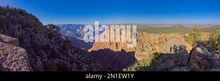 Blick auf den Grand Canyon von den Klippen östlich des Desert View Point, mit Cedar Mountain in der Ferne auf der rechten Seite, Grand Canyon National Park, UNESCO Worl Stockfoto