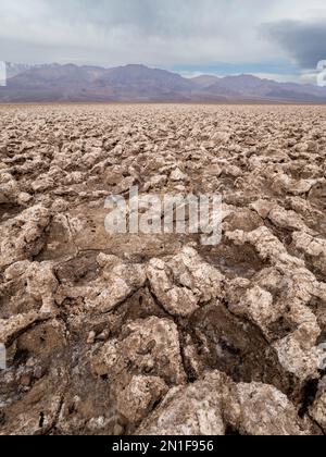 Der Devil's Golf Course, eine große Salzpfanne gefüllt mit Halogensalzkristall, Death Valley National Park, Kalifornien, Vereinigte Staaten von Amerika Stockfoto