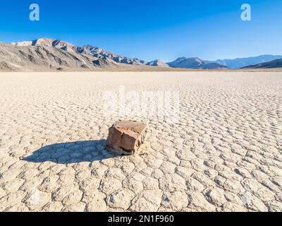 Ein beweglicher Felsen auf der Rennstrecke, ein playa oder ein ausgetrockneter See im Death Valley-Nationalpark, Kalifornien, USA, Nordamerika Stockfoto