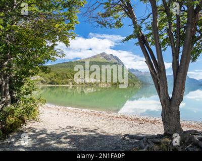 Blick auf die Anden und den Wald Notofagus in Lago Acigami, Tierra del Fuego, Argentinien, Südamerika Stockfoto