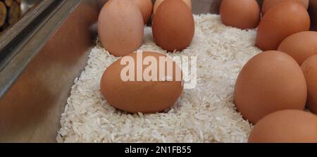 Hühnereier auf einem Haufen weißen Reis Stockfoto