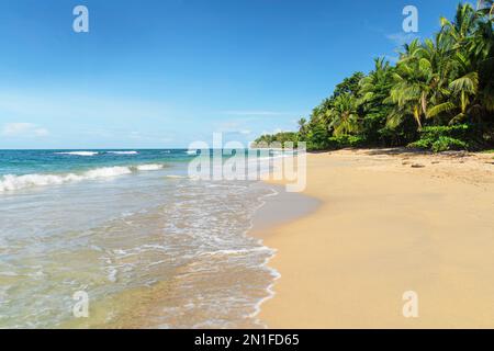 Playa Uva, Karibik, Costa Rica, Stockfoto